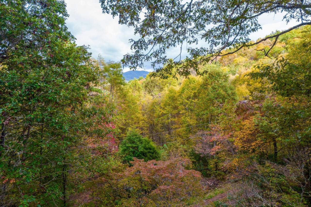 Mountain Top Tranquility Sylva Luaran gambar